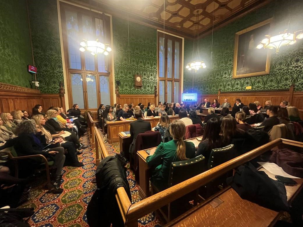 photo of the crowded room as the APPG took place