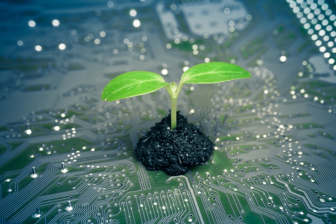 Menyelamatkan Bumi dengan Green Computing untuk Mengurangi Jejak Karbon Digital Anda