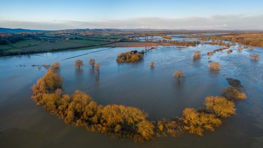 Flooded fields and the tops of trees
