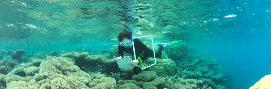 Scuba diver in ocean making notes on whiteboard