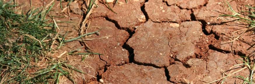 Cracked parched soil
