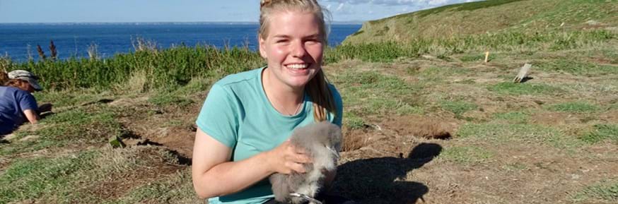 Grinning student Harriet Sleight sits on Skomer Island in the sunshine among a landscape of short grass and seabird burrows holding a very fluffy grey Manx Shearwater chick