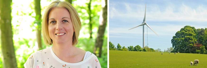 Researcher wins a fellowship to help policy makers and businesses enhance the socio-economic and environmental benefits from wind and solar installations.