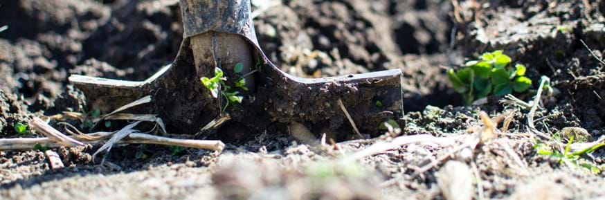 A spade digs into soil