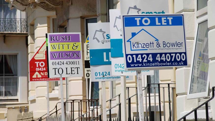 A row of different 'for let' boards positioned outside a row of properties