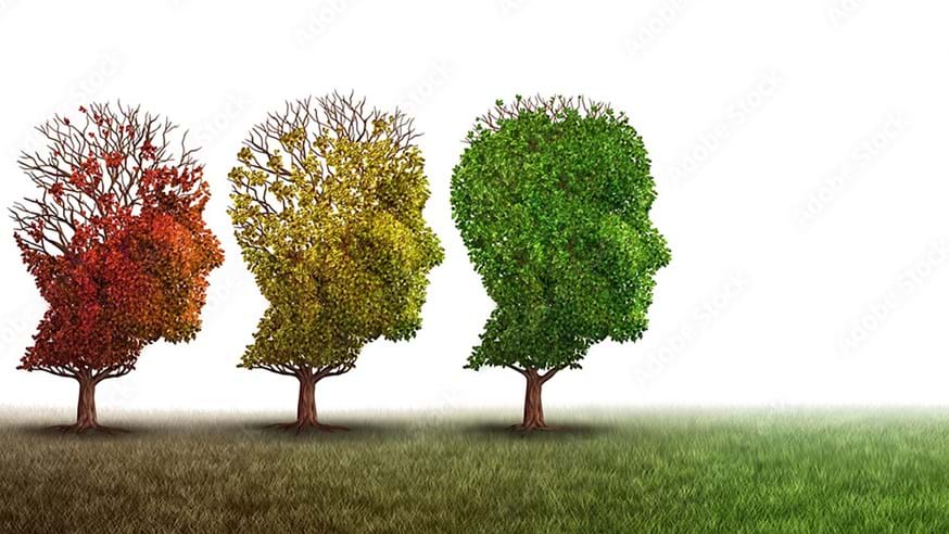 Alzheimer's disease is the leading cause of dementia and disability in old age