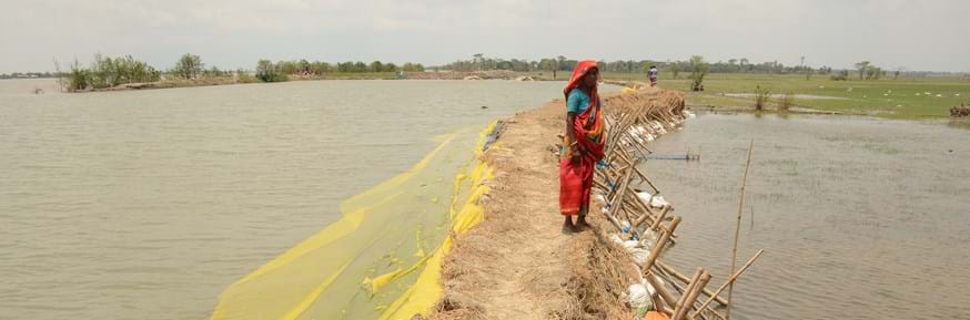 A woman stands on a polder in Bangladesh