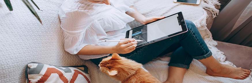 lady on laptop with cat at home