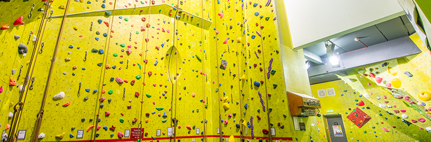 Interior shot of the Climbing Wall at Sport Lancaster