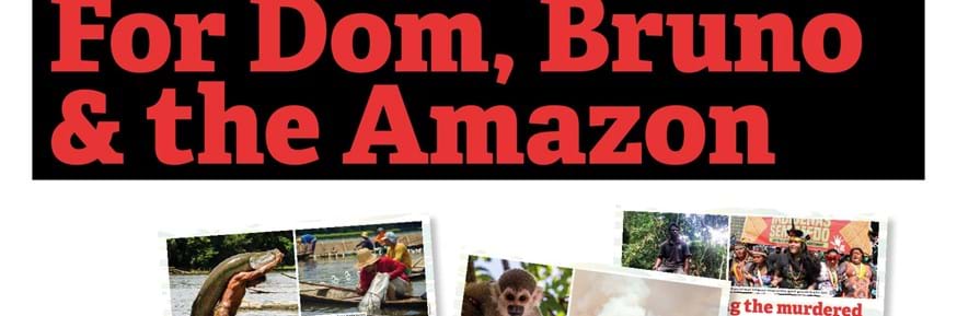 'For Dom, Bruno and the Amazon' Exhibition Poster - Title displayed in bold red letters against a black backdrop with images underneath showing experiences in the Amazon.