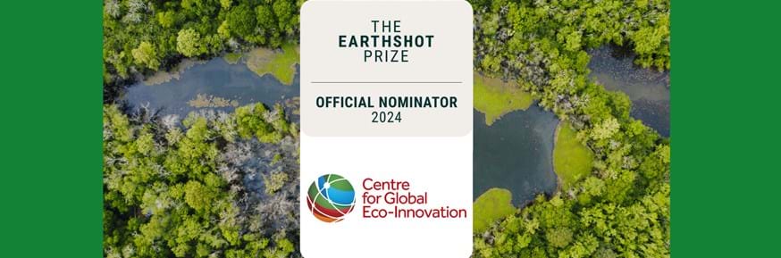 Earthshot Prize badge