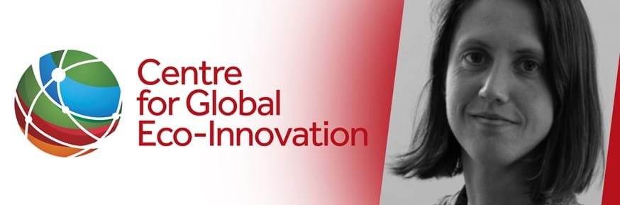 A portrait of Dr Joanne Larty, alongside the Centre for Global Eco-Innovation logo
