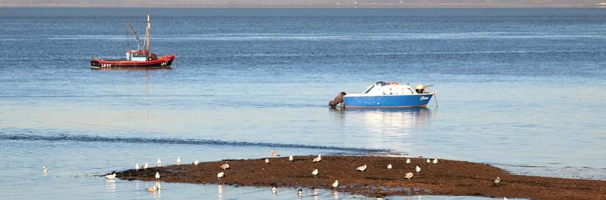 Morecambe Bay with two fishing boats and seabirds in the foreground