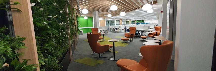 Interior of new library extension with living wall of plants and brightly coloured comfortable chairs and study area in the background
