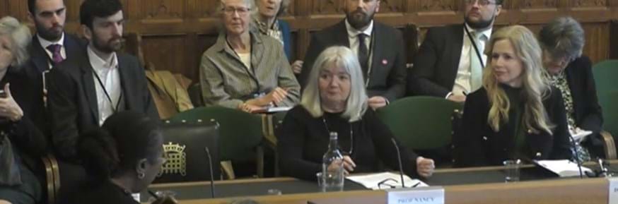 Professor Preston giving evidence before the enquiry in the Houses of Parliament