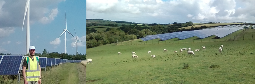 Left photo: researcher stood in fornt of solar farm Right photo: sheep in front of solar farm field