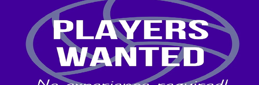 Purple background with white text advertising for players wanted and no experience necessary.  Grey outline of a netball.