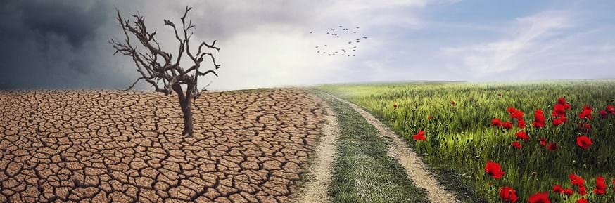 A montage image depicting climate change. The left of the picture depicts a barren land with dark skies, and the right of the picture is a lush green meadow set against a blue sky