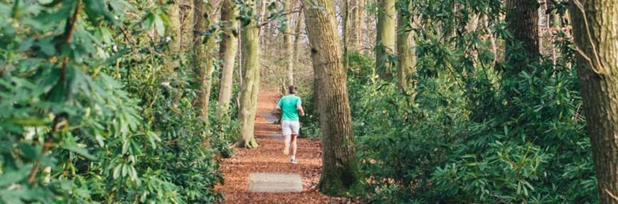 Person running through the Woodland Trail on campus