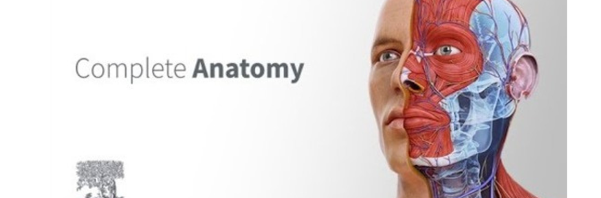 Complete Anatomy, image of human face.