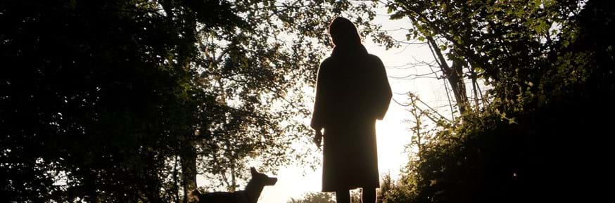 Silhouette of a person and a dog walking outside